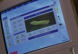 Фильм Власть страха / The Bone Collector (2000) - cцена 3