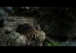 Фильм Акварель / Aquarela (2018) - cцена 1