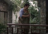 Фильм За деревьями / Behind the Trees (2019) - cцена 2