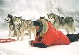 Фильм Белый плен / Eight Below (2006) - cцена 3