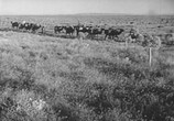 Фильм Авиценна (1956) - cцена 3