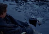 Фильм Наму, кит - убийца / Namu, the Killer Whale (1966) - cцена 3