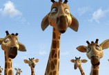 Мультфильм Замбезия  / Zambezia (2012) - cцена 4