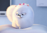 Мультфильм Тайная жизнь домашних животных / The Secret Life of Pets (2016) - cцена 3