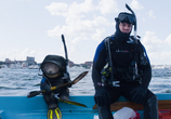 Фильм Третий лишний 2 / Ted 2 (2015) - cцена 3