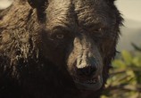 Фильм Маугли / Mowgli (2018) - cцена 6