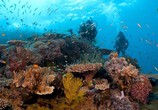Сцена из фильма Глобальное потепление: факты / Climate Change: The Facts (2019) Глобальное потепление: факты сцена 8