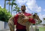 Фильм Кровью и потом: Анаболики / Pain & Gain (2013) - cцена 5