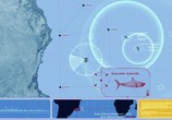 Фильм Мега Акула против Колосса / Mega Shark vs. Kolossus (2015) - cцена 3