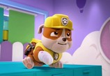 Мультфильм Щенячий патруль / PAW Patrol (2013) - cцена 6