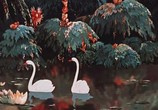 Мультфильм Аленький цветочек (1952) - cцена 2