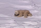 Фильм Земля / Earth (2007) - cцена 5