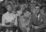 Фильм Мистер Питкин [1-12 части из 12] / Mister Pitkin (1953) - cцена 3