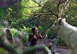 Фильм Белоснежка и охотник / Snow White and the Huntsman (2012) - cцена 5