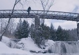Сцена из фильма Ложь / The Lie (2018) Ложь сцена 3
