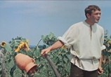 Фильм Свадьба в Малиновке (1967) - cцена 1