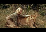 Фильм Рожденная свободной / Born Free (1966) - cцена 5