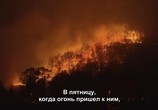 ТВ Австралия в огне / Australia Burning (2020) - cцена 7