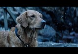 Фильм Глубокое погружение / Breaking Surface (2020) - cцена 4