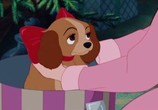 Мультфильм Леди и Бродяга / Lady and the Tramp (1955) - cцена 1