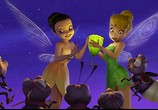 Мультфильм Феи / Tinker Bell (2008) - cцена 2