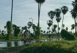 Сцена из фильма Зама / Zama (2017) Зама сцена 15