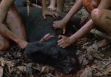 Фильм Повелитель мух / Lord of the Flies (1990) - cцена 2