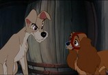 Мультфильм Леди и Бродяга + Леди и бродяга 2: Приключения Шалуна / Lady and the Tramp + Lady and the Tramp II: Scamp's Adventure (1955) - cцена 9