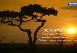 ТВ Серенгети / Serengeti (2019) - cцена 8