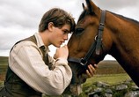 Фильм Боевой конь / War Horse (2012) - cцена 3