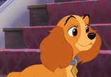 Мультфильм Леди и Бродяга 2: Приключения Шалуна / Lady and the Tramp II: Scamp's Adventure (2001) - cцена 1