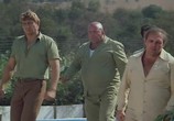 Фильм Я - за гиппопотамов! / Io sto con gli ippopotami (1979) - cцена 4