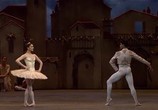ТВ Людвиг Минкус - Дон Кихот / Ludwig Minkus: Don Quixote (2013) - cцена 3