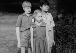 Фильм Чудовище Хайгейтских прудов / The Monster of Highgate Ponds (1961) - cцена 1
