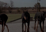Фильм В пасти безумия / In The Mouth Of Madness (1995) - cцена 5
