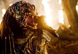 Фильм Хищники / Predators (2010) - cцена 3