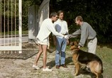 Фильм Забавные игры / Funny Games (1997) - cцена 1