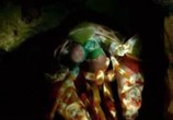 ТВ BBC. Эволюция жизни / BBC. Journey of Life (2005) - cцена 3
