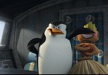 Мультфильм Мадагаскар 2 / Madagascar: Escape 2 Africa (2008) - cцена 1