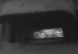 Фильм Жаворонок (1964) - cцена 5