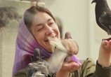 Фильм Притчи (2010) - cцена 2