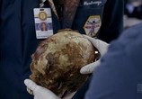 Сериал Кости / Bones (2005) - cцена 2