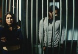 Фильм Адвокат / Fox (2009) - cцена 4