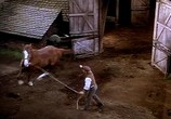 Фильм Национальный бархат / National Velvet (1944) - cцена 4