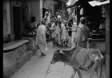 Фильм Непокоренный / Aparajito (1956) - cцена 3