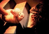 Фильм Зубастики 3 / Critters 3 (1991) - cцена 4
