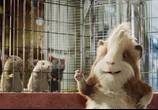 Сцена из фильма Миссия Дарвина / G-Force (2009) Миссия Дарвина сцена 19