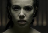Фильм 30 дней ночи: Темные дни / 30 Days of Night: Dark Days (2010) - cцена 3