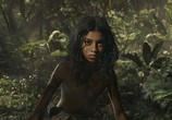 Фильм Маугли / Mowgli (2018) - cцена 2