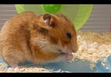 Сцена из фильма Крошечные существа / Tiny Creatures (2020) Крошечные существа сцена 8